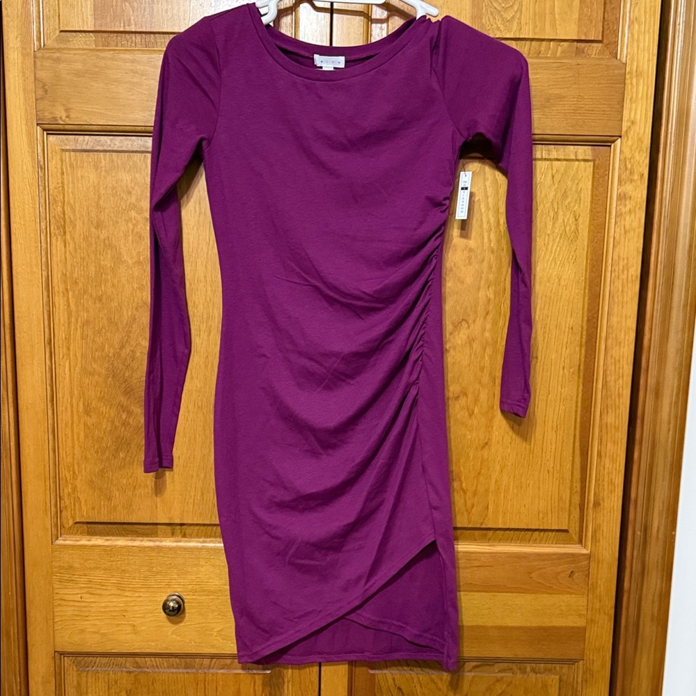 NWT Leith Long Sleeve Dress in Wine